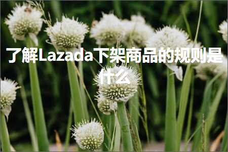 跨境电商知识:了解Lazada下架商品的规则是什么